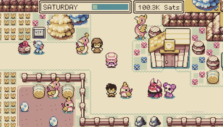 Thumbnail for article ID 26455