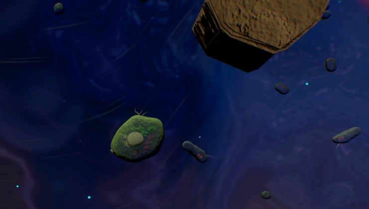 Thumbnail for article ID 27932