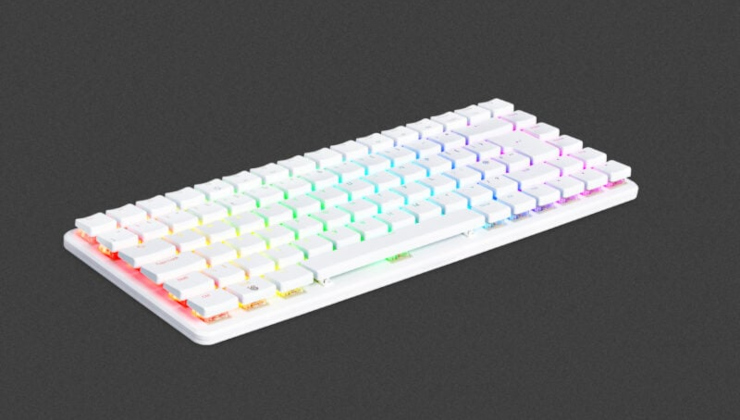 Thumbnail for article ID 27666